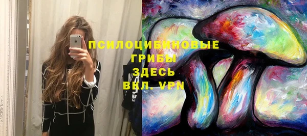 прущий лед Алзамай