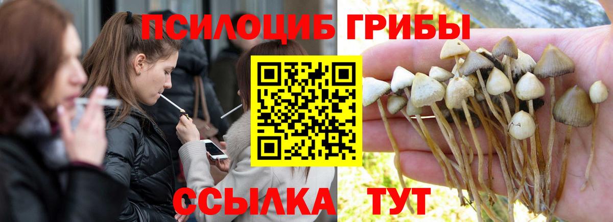 Южноуральск  Псилоцибиновые грибы мухоморы  Вход с VPN 